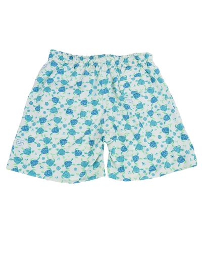 Boxer papá tortugas azules