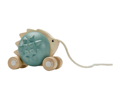 Pull Along Hedgehog Blue