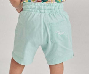 Shorts - Mint