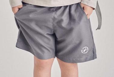 Swimwear Shorts - Grey