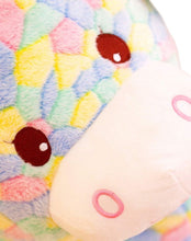 Cargar imagen en el visor de la galería, Jiarafa Arcoiris CHIKY NYNO